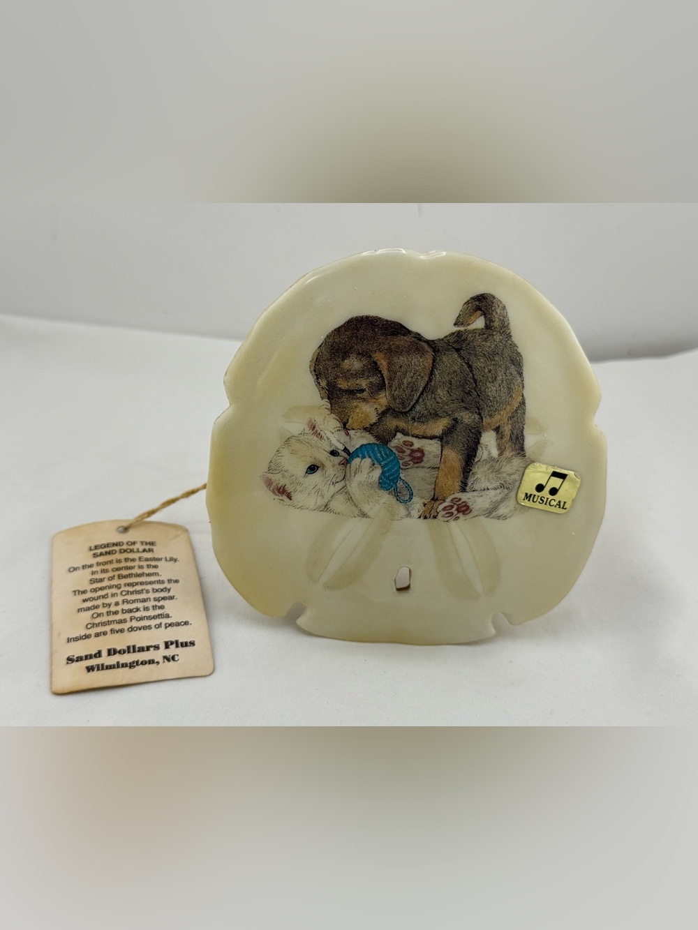Vintage Sand Dollars Plus musical sand dollar- song THATS WHAT FRIENDS ARE FOR